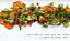 Healthy Nacho Recipe