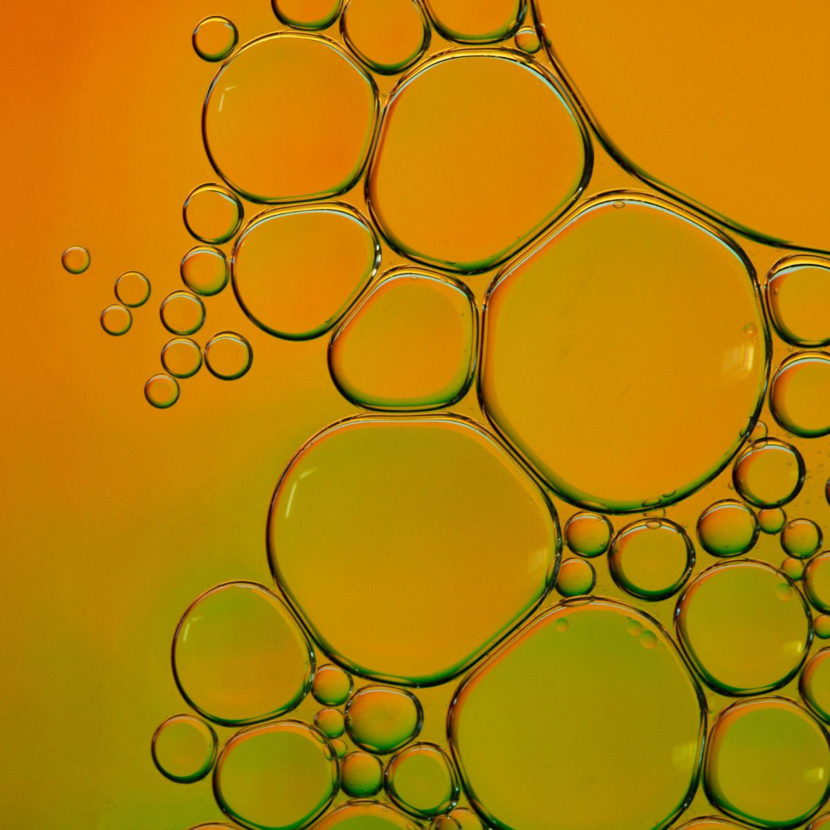 Brightly colored jojoba oil added to the body oil to increase moisturization.